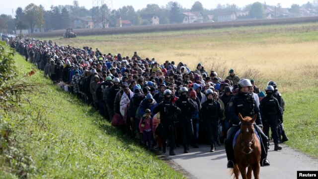Un policía dirige ola de migrantes cerca de Dobova, Eslovenia. Octubre 20, 2015. 