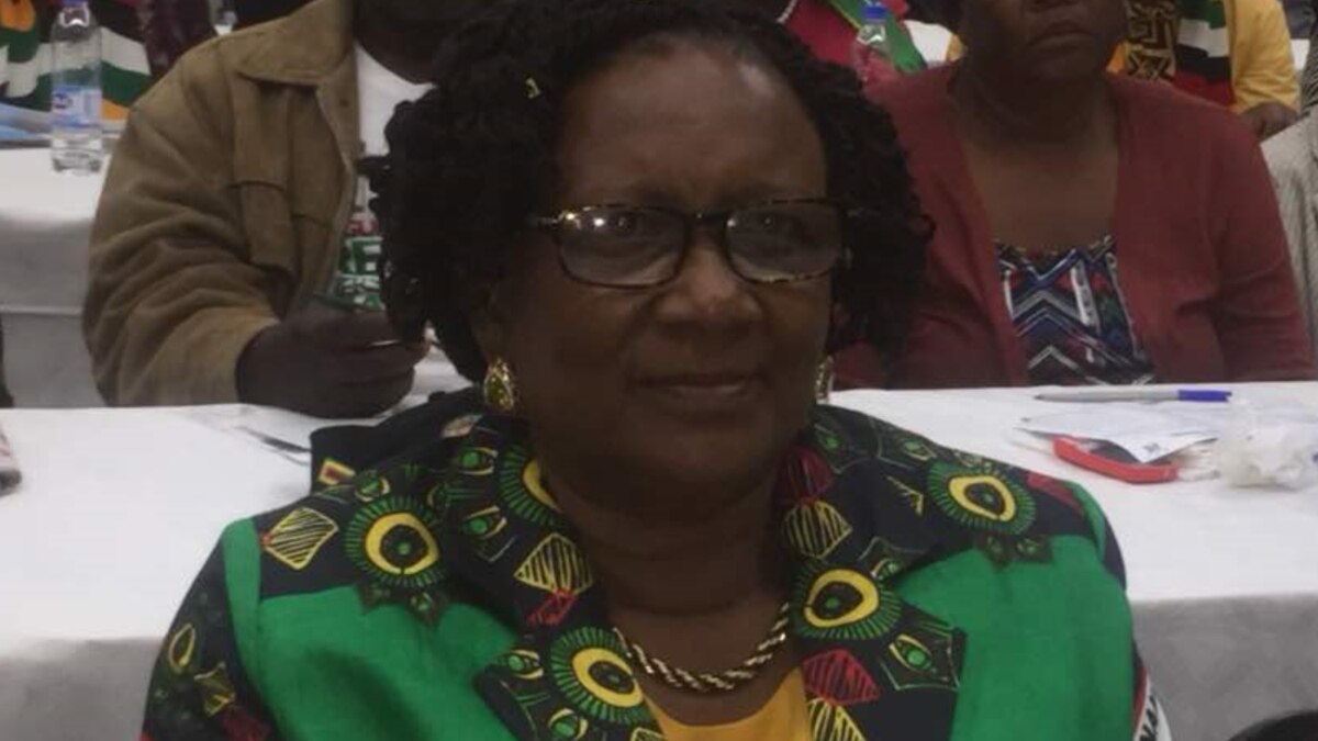 Zimbabwe Tourism Minister Detained by New Anti-Corruption Agency