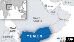 Con tin người Thụy Điển được phóng thích ở Yemen