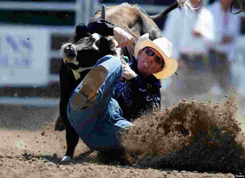 Amerikalı Coş Pik rodeo zamanı &nbsp;