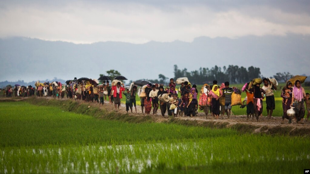 ရခိုင္အၾကမ္းဖက္တုိက္ခိုက္မႈမ်ားေၾကာင့္ ဘဂၤလားဘက္ တိမ္းေရွာင္လာတဲ့ ဒုကၡသည္မ်ား။