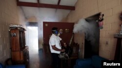 Un trabajador de Salud fumiga una casa en el barrio de Altos del Cerro en El Salvador, como parte de una campaña preventiva contra el virus del Zika.