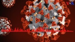 Corona Virus Banakisai Kura Ciariliw Senegal