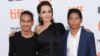 Directing Allows Angelina Jolie to 'Champion Other People'