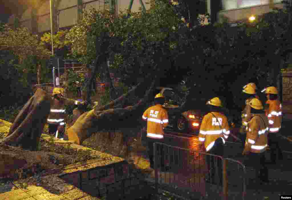 Firemen try to remove a tree that hit a car during a typhoon in Hong Kong's rural Taipo district, July 23, 2012. 