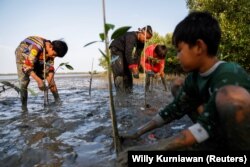 Penanaman pohon-pohon bakau bersama anak-anak di Pantai Tiris, Desa Pabeanilir, Kabupaten Indramayu, Jawa Barat, 11 Maret 2021. (Foto: Willy Kurniawan/Reuters)