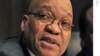 Zuma Calls Dog Ownership 'Un-African'