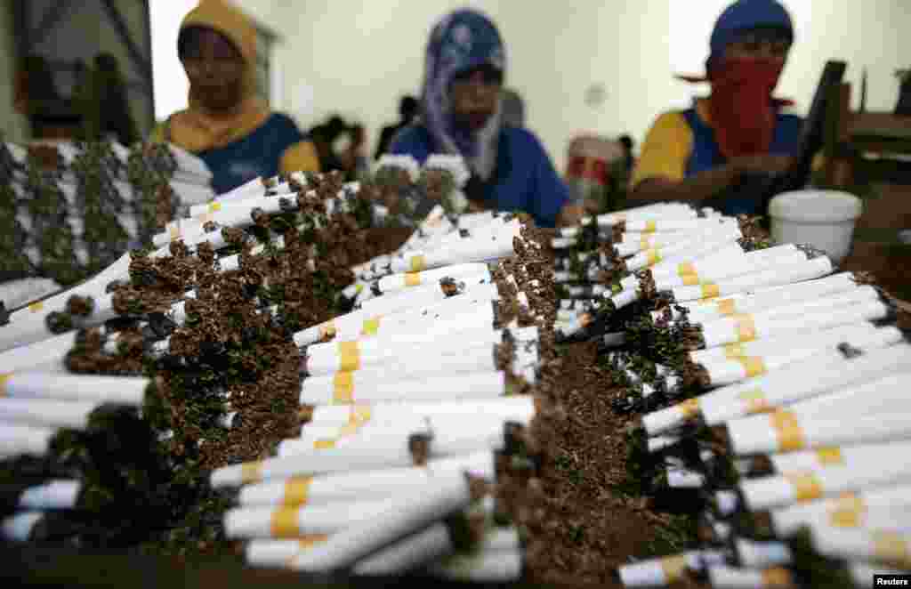 سگریٹ بنانے والی فیکٹری میں تمباکو کو کاغذ میں رول کرتے ہوے ملازمین۔