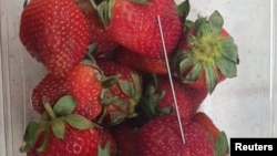 A thin piece of metal is seen among a punnet of strawberries in Gladstone, Australia, Sept. 14, 2018. (Credit: AAP/Queensland Police/Handout)