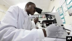Kwararren likita yana bincike kan kwayar cutar Malaeriya a wani asibitin kasar Kenya a watan Nuwambar 2010.