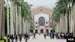 台湾大学校园 (美国之音 张佩芝摄，2017年11月23日)