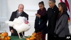 In this 2013 file photo, Popcorn the turkey receives the traditional "presidential pardon" from President Obama. (AP Photo/Carolyn Kaster)