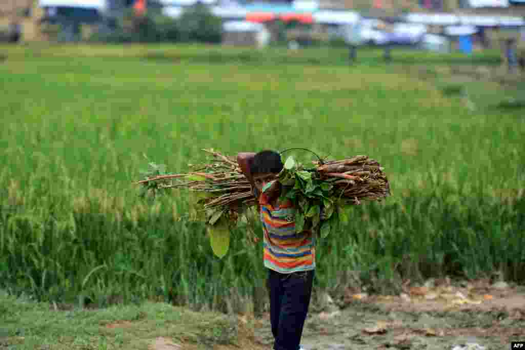 A Rohingya refugee child walks back to his house with a bundle of wood at Thankhali refugee camp in the Bangladeshi district of Ukhia.