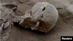 Detail of the skull of the skeleton of a man found lying prone in the sediments of a lagoon 30km west of Lake Turkana, Kenya, at a place called Nataruk, is pictured in this undated handout photo obtained by Reuters, Jan. 20, 2016.