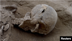 Detail of the skull of the skeleton of a man found lying prone in the sediments of a lagoon 30km west of Lake Turkana, Kenya, at a place called Nataruk, is pictured in this undated handout photo obtained by Reuters, Jan. 20, 2016.