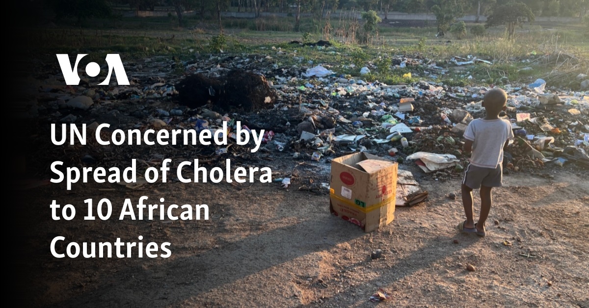 UN Concerned by Spread of Cholera to 10 African Countries