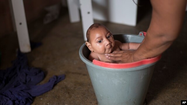 Investigadores en Brasil han vinculado las infecciones de zika a los casos de bebés que han nacido con microcefalia, es decir con cabezas muy pequeñas.