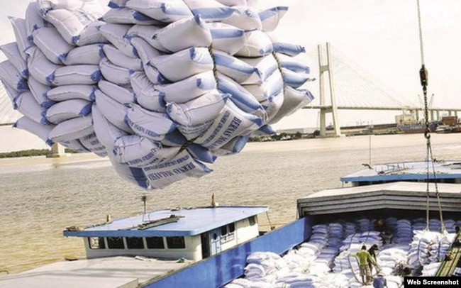 Trung Quốc đột ngột tăng kim ngạch nhập khẩu gạo từ Việt Nam lên đến hơn 700% trong hai tháng đầu năm 2020, sau hai năm trầm lắng. Photo VietnamBiz