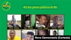 Partido Nova Democracia 