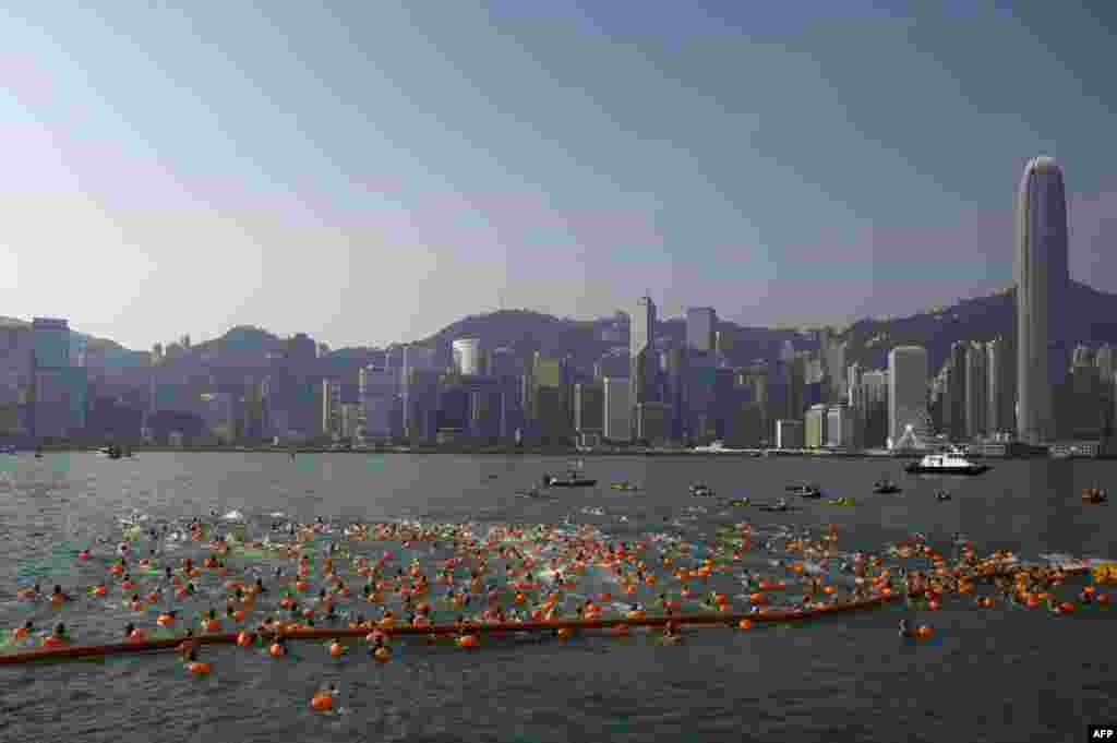 The city skyline is seen in the background as competitors take part in the Harbour Race swimming event in Hong Kong&#39;s Victoria Harbour.