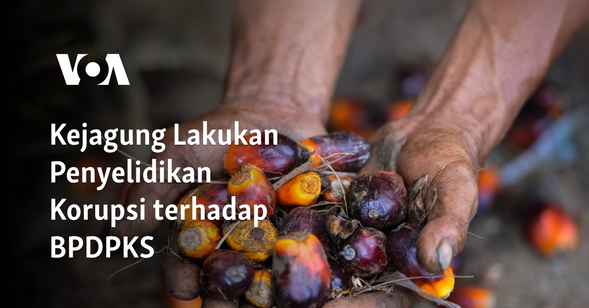 Kejagung Lakukan Penyelidikan Korupsi Terhadap BPDPKS