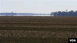 Masalah kekeringan sering melanda Australia seperti di Trangie ini, 486 kilometer di sebelah barat Sydney, tapi tidak demikian halnya dengan Selandia Baru (foto: dokumentasi).