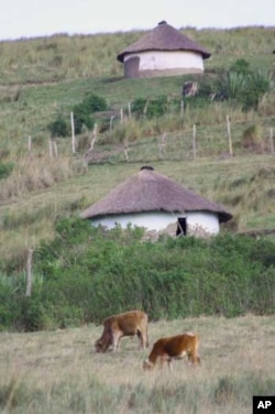 The doctor grew up very poor, in a mud hut similar to these in South Africa’s Eastern Cape province