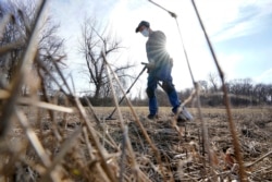 Amateur historian Jim Bailey uses a metal detector to look for Colonial-era items in a field, March 11, 2021, in Warwick, R.I. (AP PHOTO/Steven Senne)