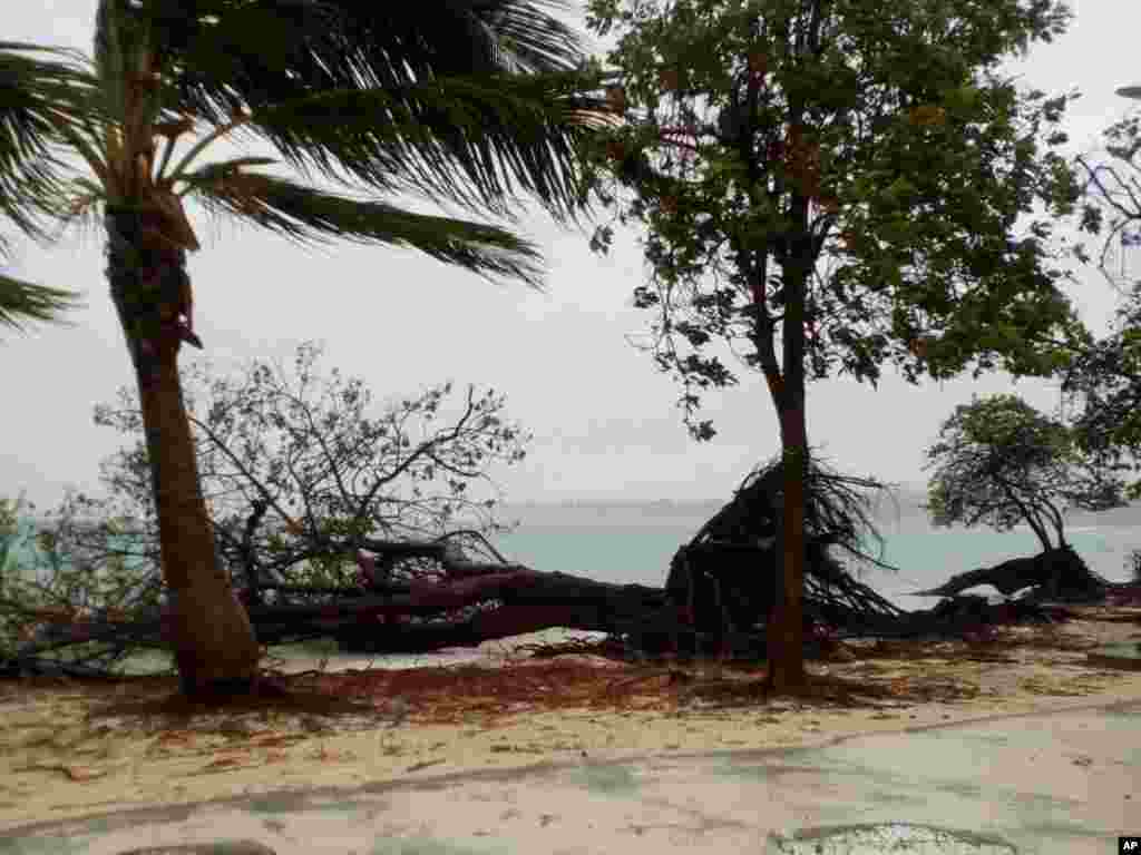توفان عظیم &laquo;ماریا&raquo; خساراتی جدی به جزیره دومینیکا در دریای کارائیب وارد کرد.