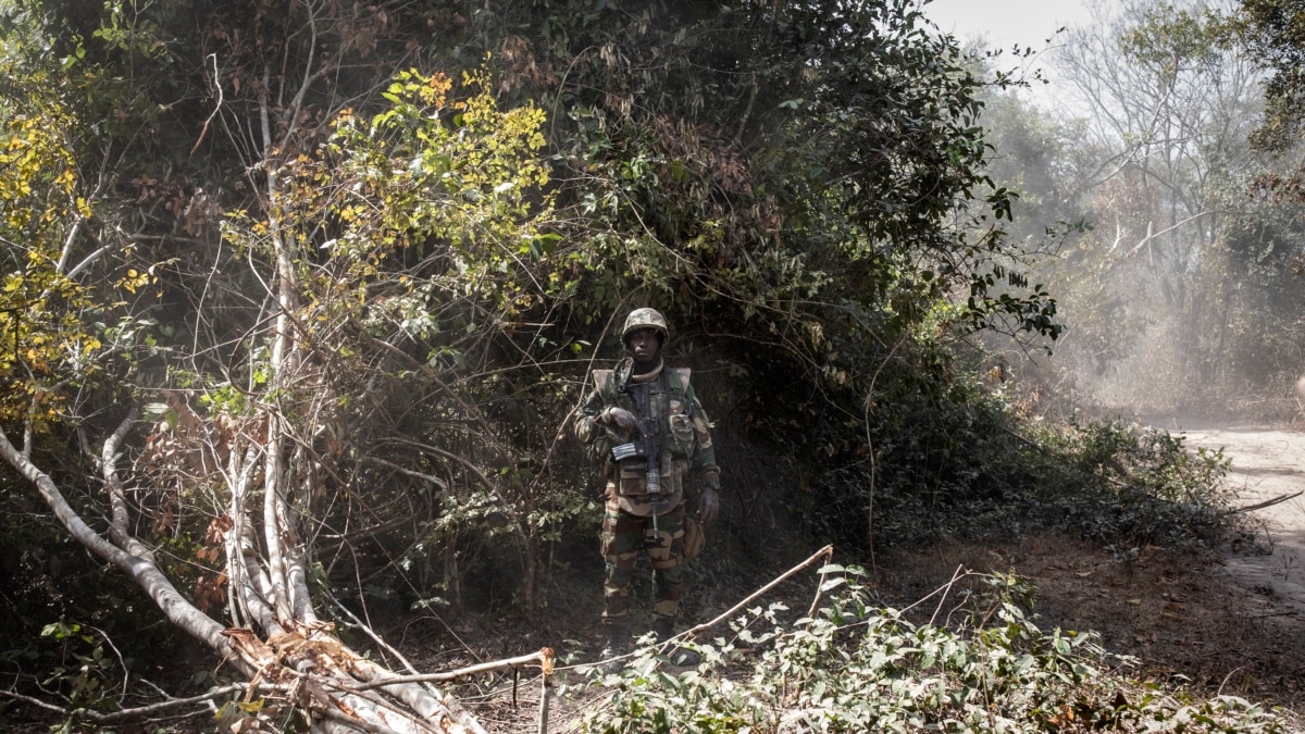 Sette soldati senegalesi liberati dai ribelli Casamance