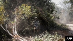 FILE - A Senegalese soldier stands guard in the Blaze Forest, in Senegal, Feb. 9, 2021.