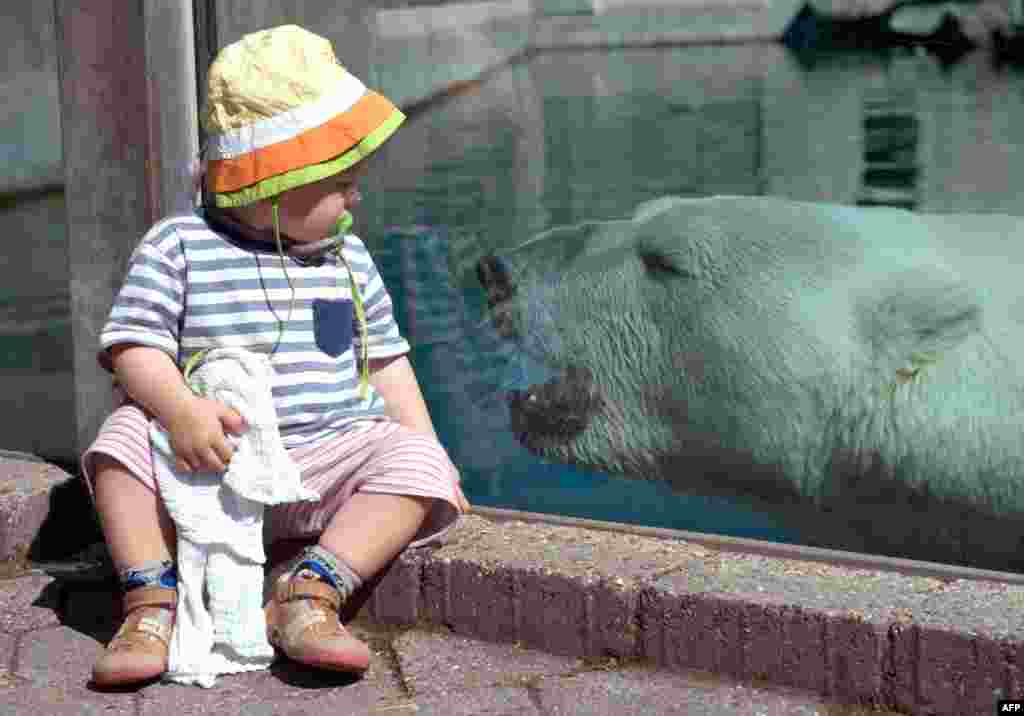 Two-year-old Laura sits in front of the polar bear enclosure at the zoo in Stuttgart, southern Germany, while a polar bear looks through the glass pane. 