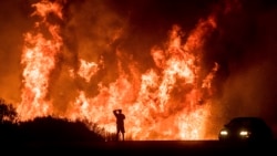 Quiz - New Substance Can Prevent Wildfires from Starting, Spreading