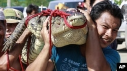 A man carries a crocodile on his shoulder after he and his team killed it at a flooded residential area in Bangbuatong district of Nonthaburi province, north of Bangkok, Thailand Sunday, Oct. 23, 2011.