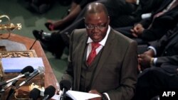 Zimbabwe's Finance Minister Tendai Biti delivers his speech about the 2013 budget at the Parliament in Harare, Zimbabwe, November 15, 2012.