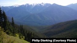 Olympic National Park's Hurricane Ridge 