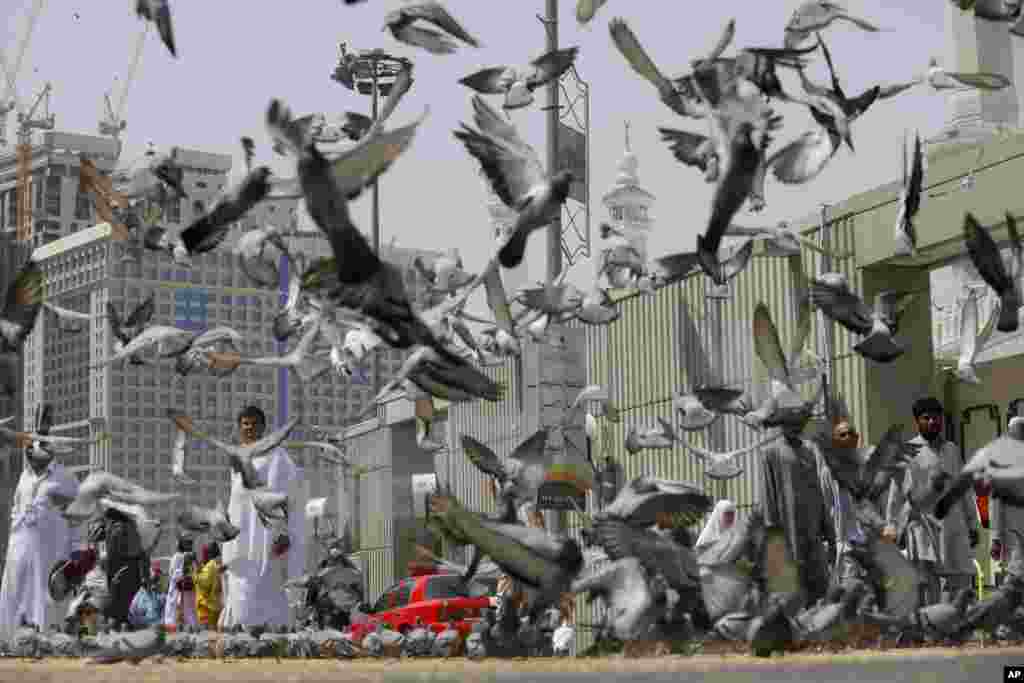 Pigeons fly around Muslim pilgrims leaving the noon prayers outside the Grand Mosque in the Muslim holy city of Mecca, Saudi Arabia, Saturday, Oct. 12, 2013. 