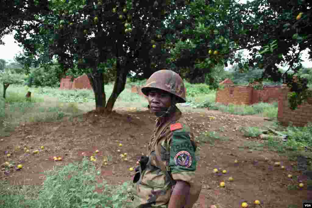 A regional peacekeeper surveys an abandoned village on the road south from bossangoa, surrounded by untouched fallen fruit, Nov. 13, 2013, Hanna McNeish for VOA.