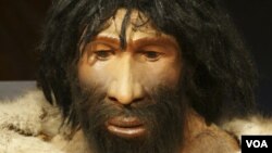 El uso del lenguaje por neandertales podría remontarse a hace 500 mil años.