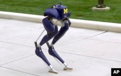 In this image made from video, a new robot, named "Cassie," walks on the campus of the University of Michigan in Ann Arbor, Michigan, Oct. 23, 2017.