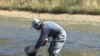 The Corbin family in Tennessee drains a pond to gather the fresh water shrimp, or prawns, they’ve been raising for the past five months.