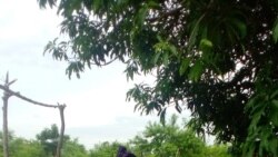 ဂန့်ဂေါမြို့နယ် စစ်ရှောင်ဒုက္ခသည်တွေ အရေးပေါ်အကူအညီလို