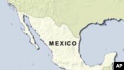Tropical Storm in Pacific Strengthens Off Mexico
