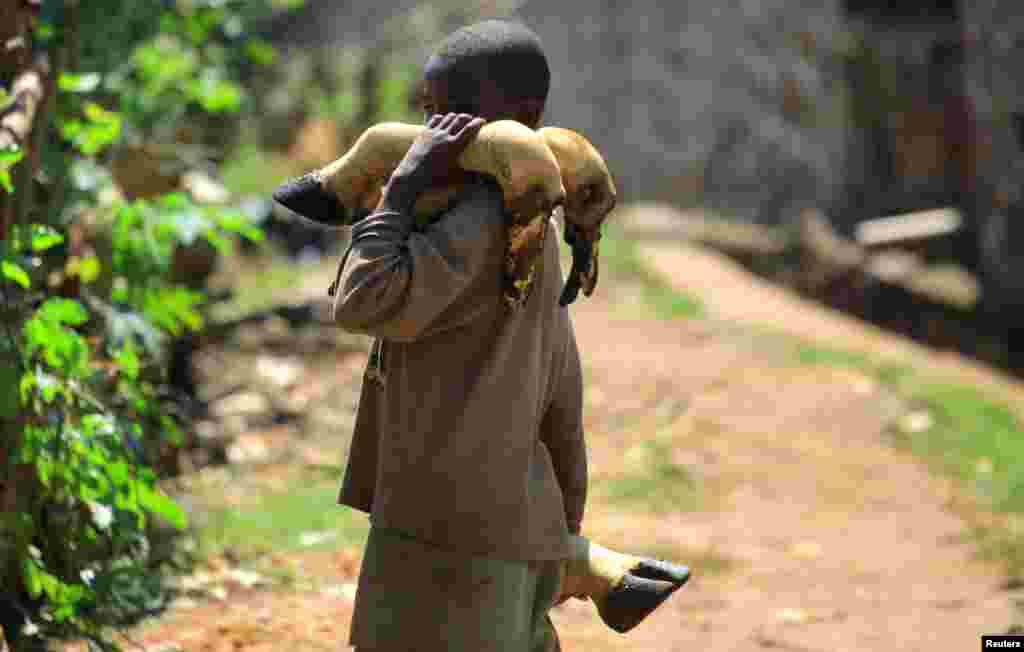 A boy carries cow hooves from a slaughter house in the town of Beni in North Kivu province of the Democratic Republic of Congo, August 2, 2018. 