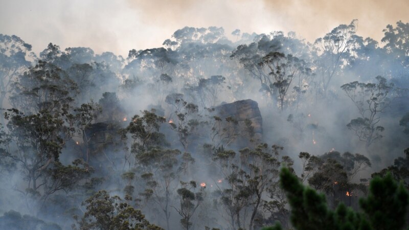 UN Climate Report Urges Immediate Action to Protect Humanity, Planet