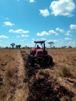 Men and women at work at Esidakeni Farm. (Courtesy Photo)