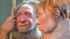 Neanderthals Organized Homes by Activity
