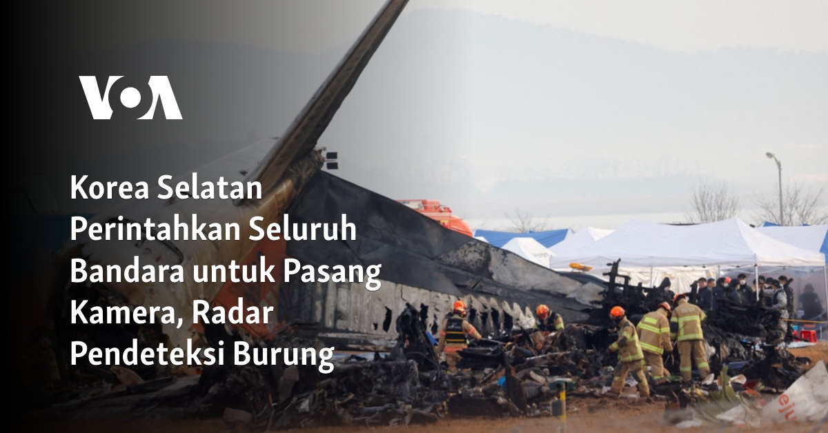 Korea Selatan Perintahkan Seluruh Bandara untuk Pasang Kamera, Radar Pendeteksi Burung