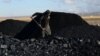 طالبان قیمت ذغال سنگ صادراتی افغانستان را بیش از دو برابر افزایش دادند