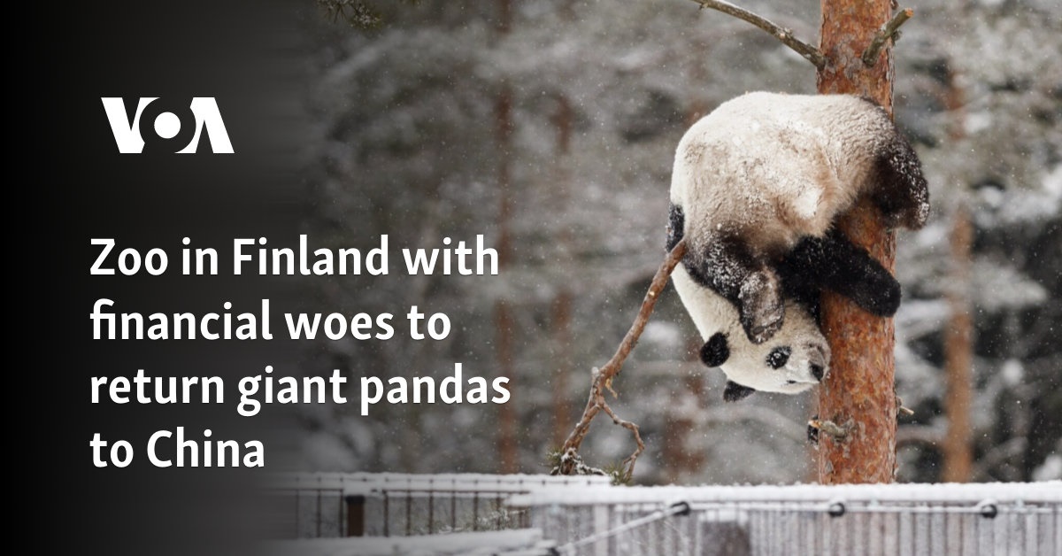 Zoo in Finland with financial woes to return giant pandas to China